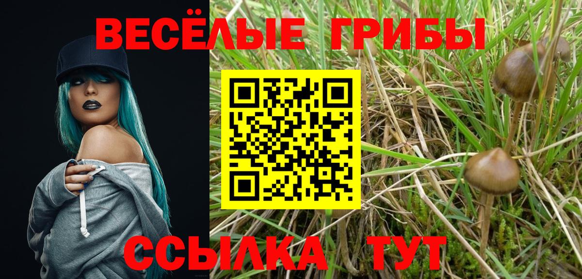 Родники  Галлюциногенные грибы ЛСД  Вход с VPN 